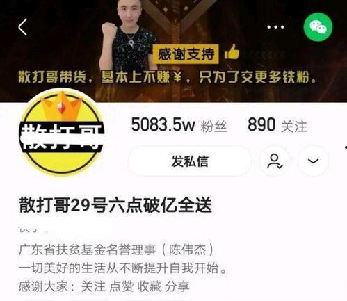 91鼠哥网红在线,揭秘网络红人的崛起之路